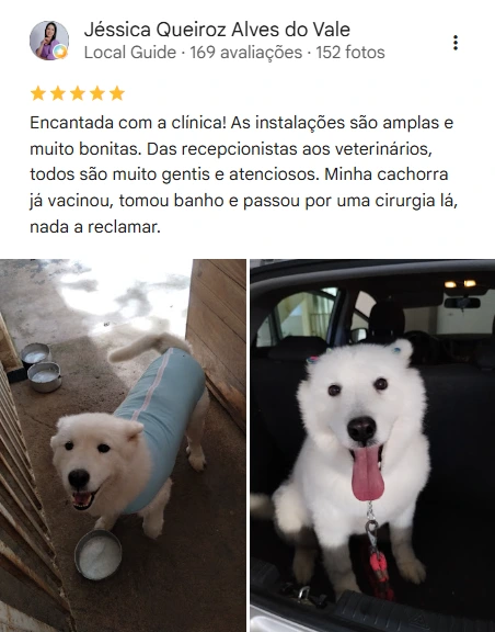 Avaliação 5 estrelas