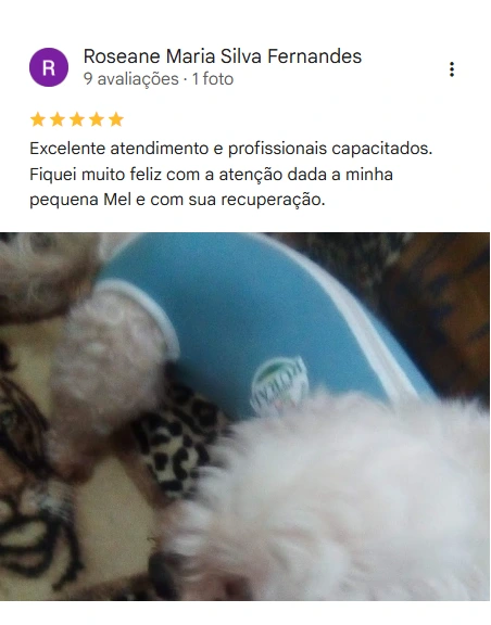 Avaliação 5 estrelas